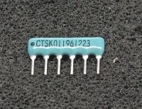 CTSK011961223
