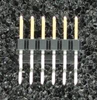 951212-4620-AR-PT