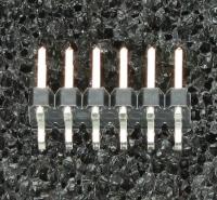 951212-2520-AR-PT