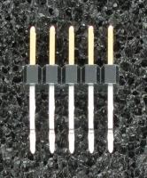 951210-4620-AR-PT