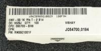 RN55C1001F