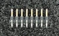 951216-2520-AR-PT