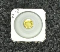 SSAF120100