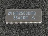 AM2503DMB