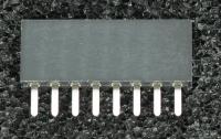 960108-6303-AR