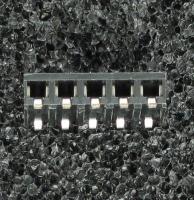 960105-8100-AR-TP