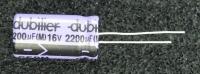 CEBM220016